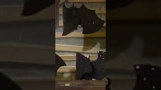 Batty Bat Song With The Count