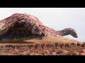 Evolution (2001) Film Explained in Hindi/Urdu | Evolution of Giant Alien vs Human Summarized हिन्दी