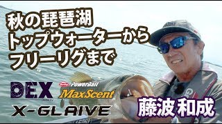 秋の琵琶湖トップウォーターからフリーリグまで