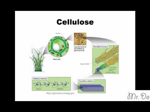 ap bio essays georgia ap bio essays georgia