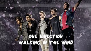 One Direction - Walking In The Wind