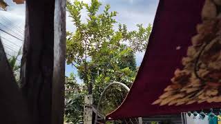 4K With 60 Fps Using Nikita Gcam Poco F3