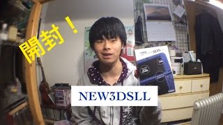 New3Dsllがやってきた開封編
