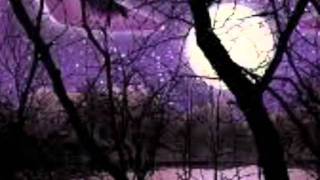Watch Alphaville Dream Machine video