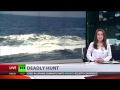 Search for mysterious Russian sub: 'Dead whales - only result'