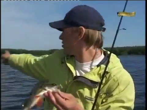 клев в шатуре клев во шатуре