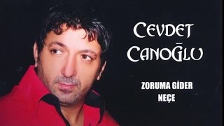 Cevdet Canoğlu - Dostluklar Yalan