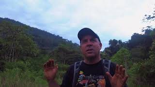 Bosque Medicinal - Cavir Conservation Talk (English subs)