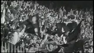 3HZU5xwzRv0 Video Image