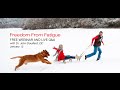 Episode 16: Freedom From Fatigue January Podcast