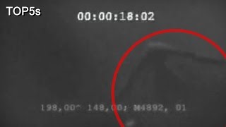 5 Most Mysterious & Unidentified Creatures Caught On Camera