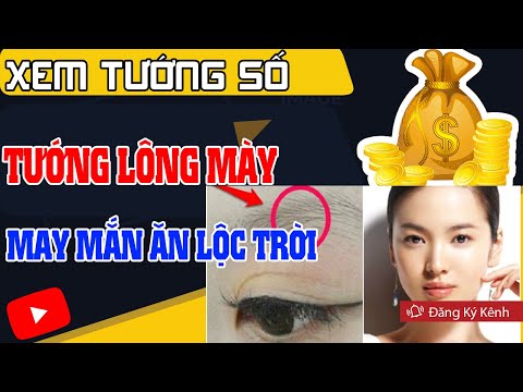 Xem Tướng Lông Mày Biết Ngay Tính Cách Tài Lộc Tình Duyên, May Mắn Ăn Lộc Trời
