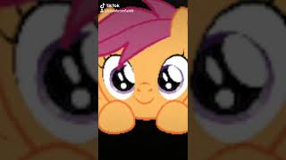 Babs Seed Tiktok