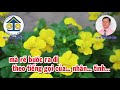 Karaoke Vọng cổ: XIN ĐỪNG NGOẠI TÌNH - Dây Đào - Tác giả: Nguyễn Hữu Nghĩa
