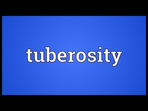 Header of tuberosity