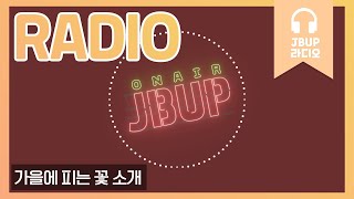 JBUP 중부 라디오 | 중부대학교 언론사가 가을에 피는 꽃 소개