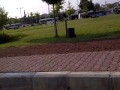 Türbanlının park kacamagı