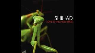 Watch Shihad Empty Shell video