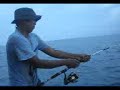 image Mancing Ikan Gabus Laut Pantasik 25 Kg