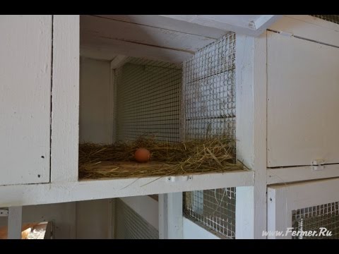 Как сделать большой, пышный и красивый бант из ленты на голову, для Как без наращивания удлинить короткое ногти - Умные советы