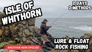 South West Scotland Rock Fishing - Isle Of Whithorn - Lures & Float