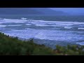 Relaxing Waves Ever🌲Ocean Sounds Eco Tunes🌲Beach Waves Relaxing Video🌲Healing Before Bed