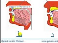 Key Origination