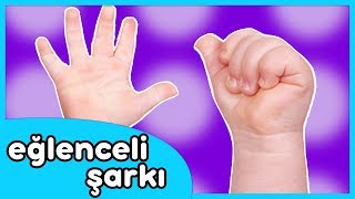 Ellerim Tombik Tombik - Eğlenceli Çocuk Şarkısı
