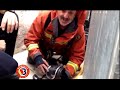 Reanimación de un cachorro tras un incendio de vivienda en Sagunt