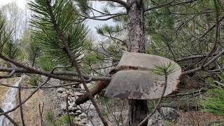 Ružički Potok-Vučipolje-Posušje