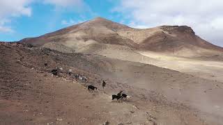 Cañada de Agando. Fuerteventura