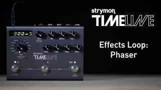 Strymon TimeLine - Effects Loop: Phaser - Demo