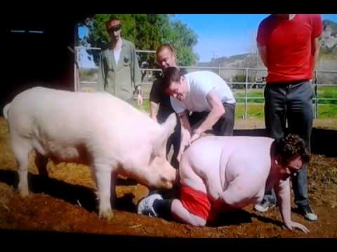 Jackass 3 - apple in my ass