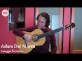 Adam Del Monte - Arpeggio Lesson: Flamenco Guitar at Guitar Salon International
