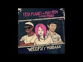 12th Planet & Mayhem - Whoops! (feat. Penny)