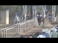 Antrax vs Palomo
