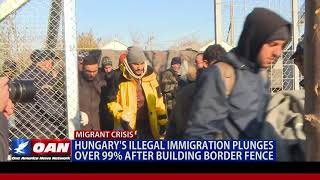 Hungary's illegal immigration plunges over 99% after building border fence