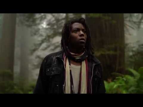 Can It Fall Video