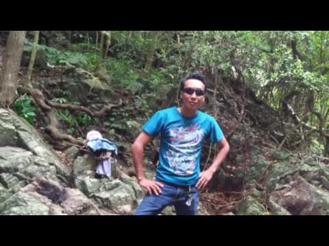 Video ut ha condao@gmail.com.vn