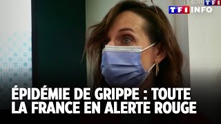 Épidémie De Grippe Toute La France En Alerte Rougetf1 Info