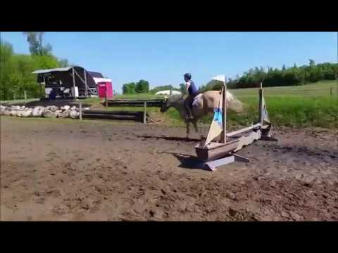 Equestrian Clips