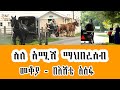 Sheger Mekoya - በመኪና ሳይሆን በጋሪ... በኤልክትሪክ ሳይሆን በፋኖስ Amish family መቆያ -  በእሸቴ አሰፋ  Eshete Assefa