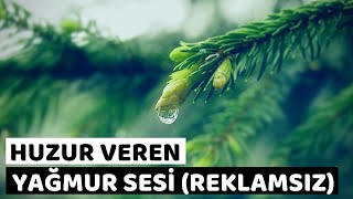 Huzur Veren Rahatlatıcı REKLAMSIZ 8 SAATLİK|Yağmur Sesi su