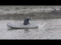 ship runs aground
