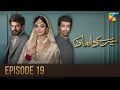 Mere Damad - Episode 19 - Noor Khan - Humayun Ashraf - 19th January 2023 - HUM TV
