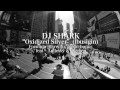 DJ SHARK "Oxidized silver" (IBUSIGIN)