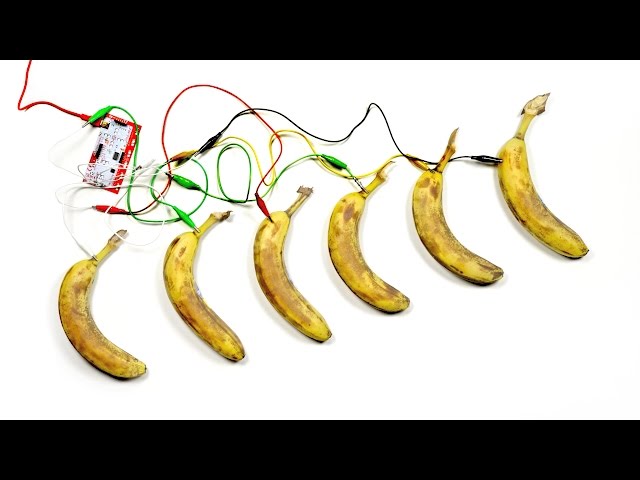 Making Music On Bananas - Video