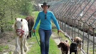 Jo Cottrell - Dog Behaviourist