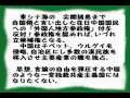 故中川昭一氏と聖徳太子.wmv