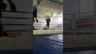 Roland Pluzhnikovi Amauter Mma Fight 24.12.2017
